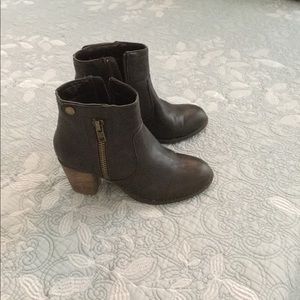 Chocolate brown ankle boots
